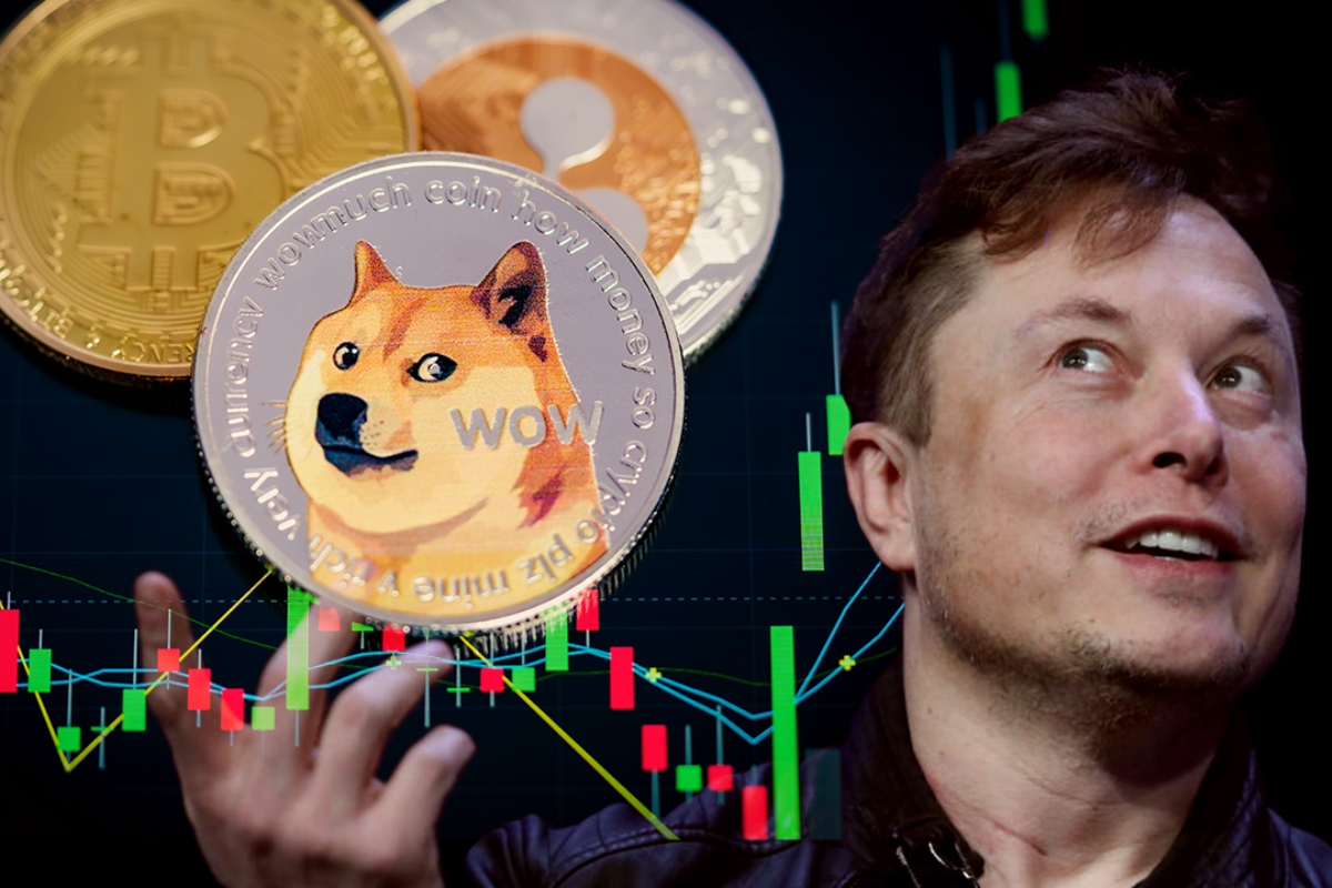 shiba inu coin price